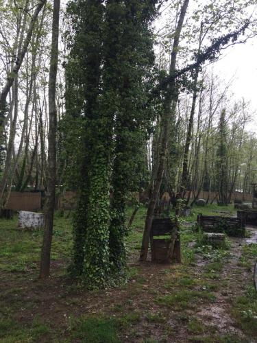 kartepe-izmit-sapanca-paintball12