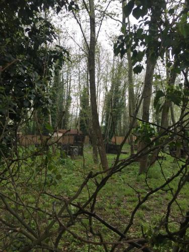 kartepe-izmit-sapanca-paintball14